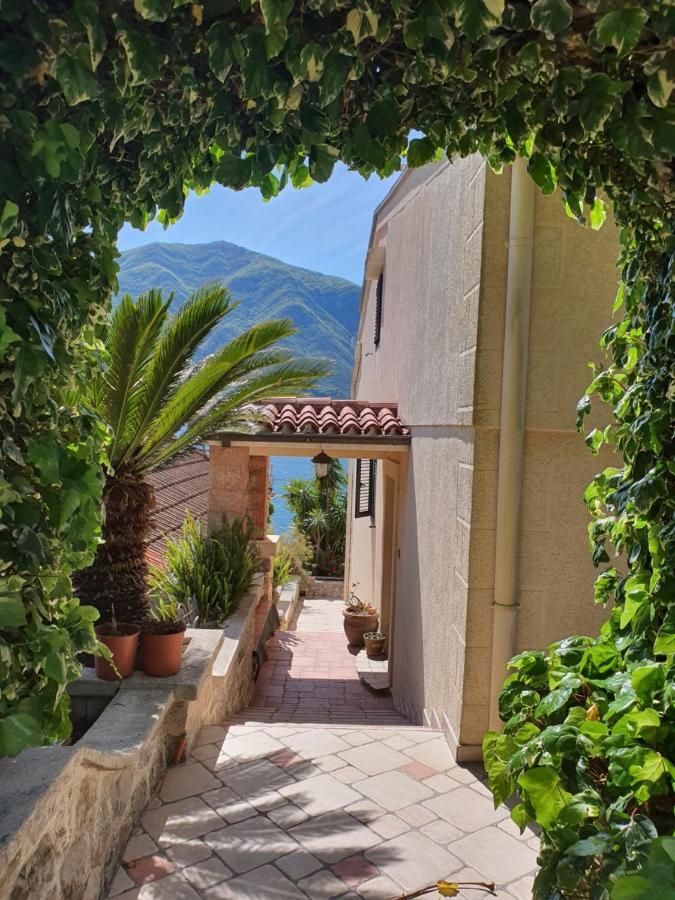 La Grande Apartments Κότορ Εξωτερικό φωτογραφία