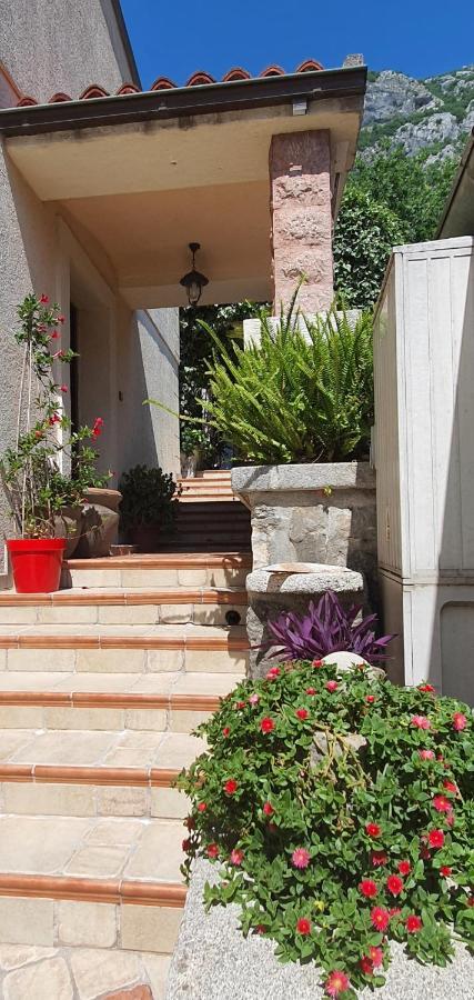 La Grande Apartments Κότορ Εξωτερικό φωτογραφία