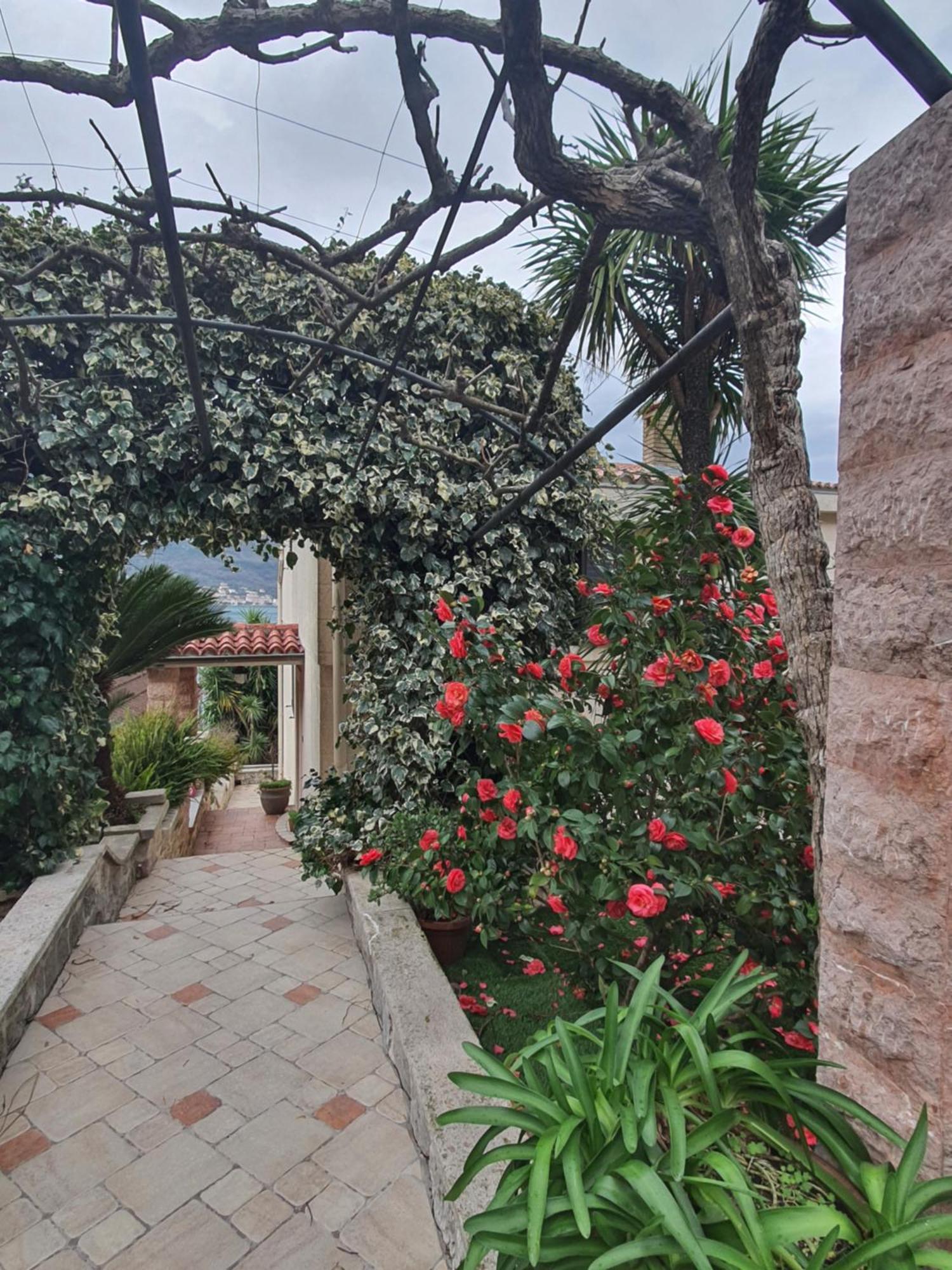 La Grande Apartments Κότορ Εξωτερικό φωτογραφία