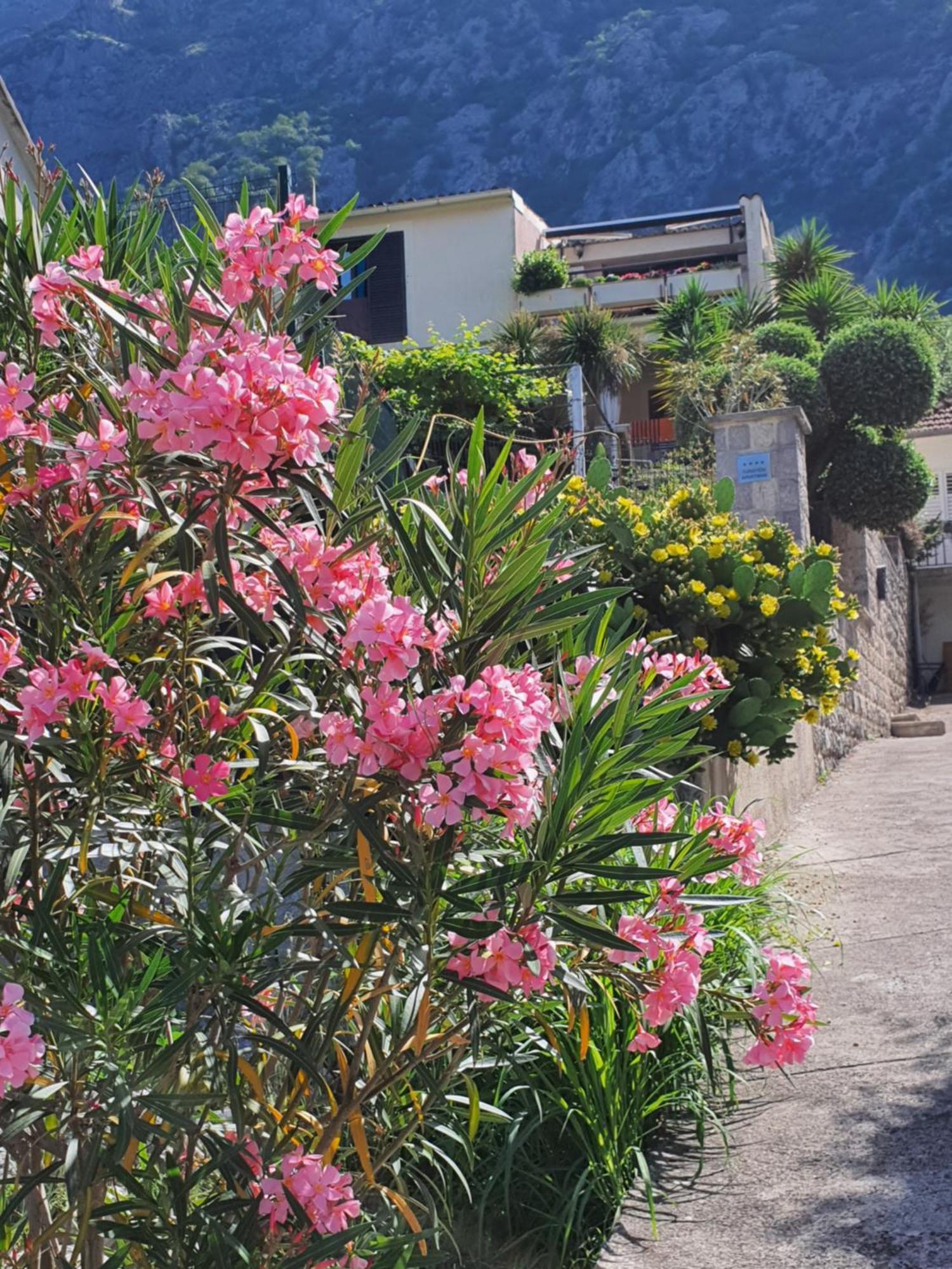 La Grande Apartments Κότορ Εξωτερικό φωτογραφία